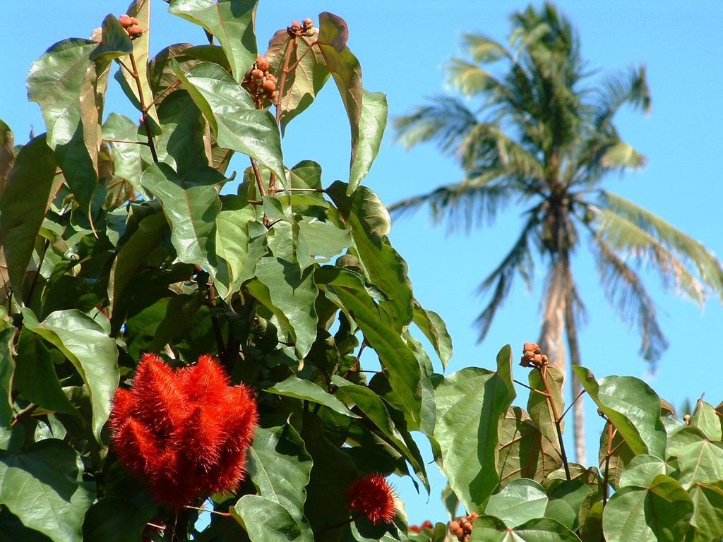 Princess Salme Inn Zanzibar Luaran gambar